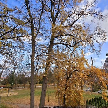 Wyjatkowy Apartament W Miliczu Zewnętrze zdjęcie